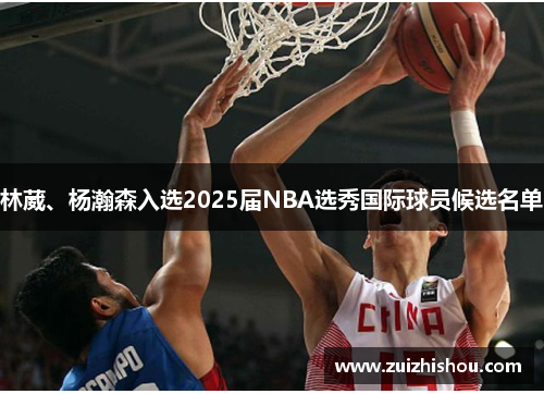 林葳、杨瀚森入选2025届NBA选秀国际球员候选名单
