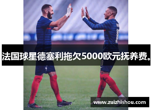 法国球星德塞利拖欠5000欧元抚养费。